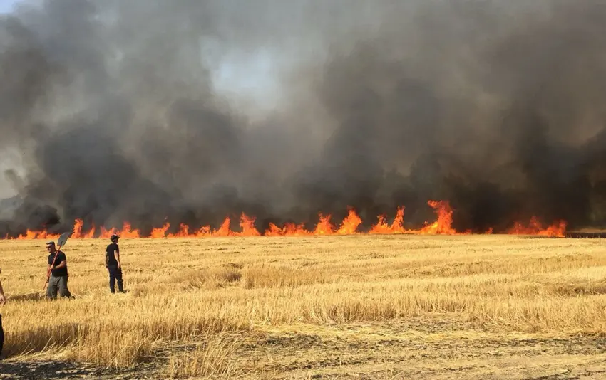 Suriye'de yer alan tarım arazilerinde büyük yangın!