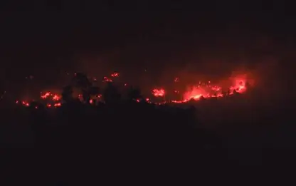 Zaho'da ormanlık alanda yangın! 3 km alana yayıldı! 