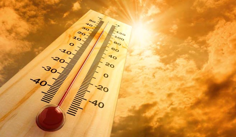 Uzmanlar endişeli: Sıcak hava insanı neden öldürüyor?