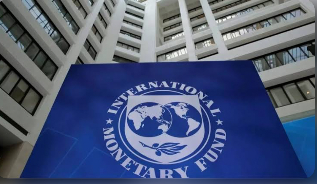 IMF’den Avrupa Merkez Bankasına uyarı!
